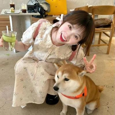 再见玛丽·包萍